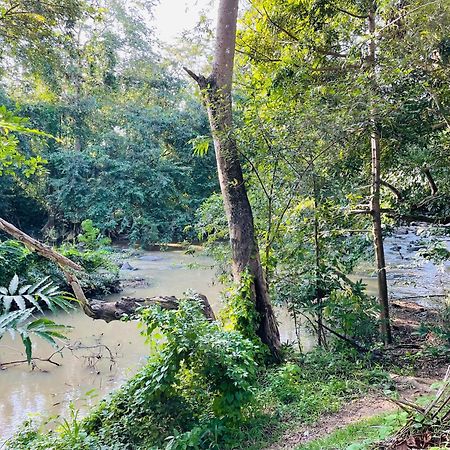 Yala Safari River View Hotel Tissamaharama Exteriér fotografie