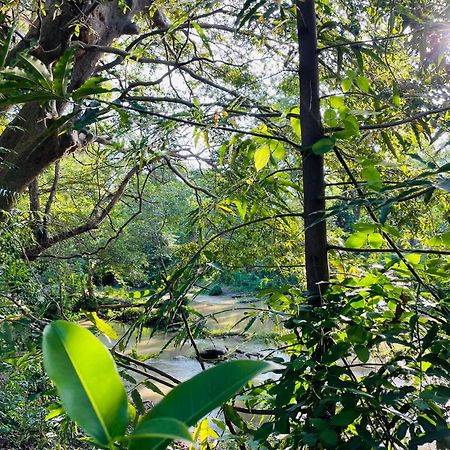 Yala Safari River View Hotel Tissamaharama Exteriér fotografie