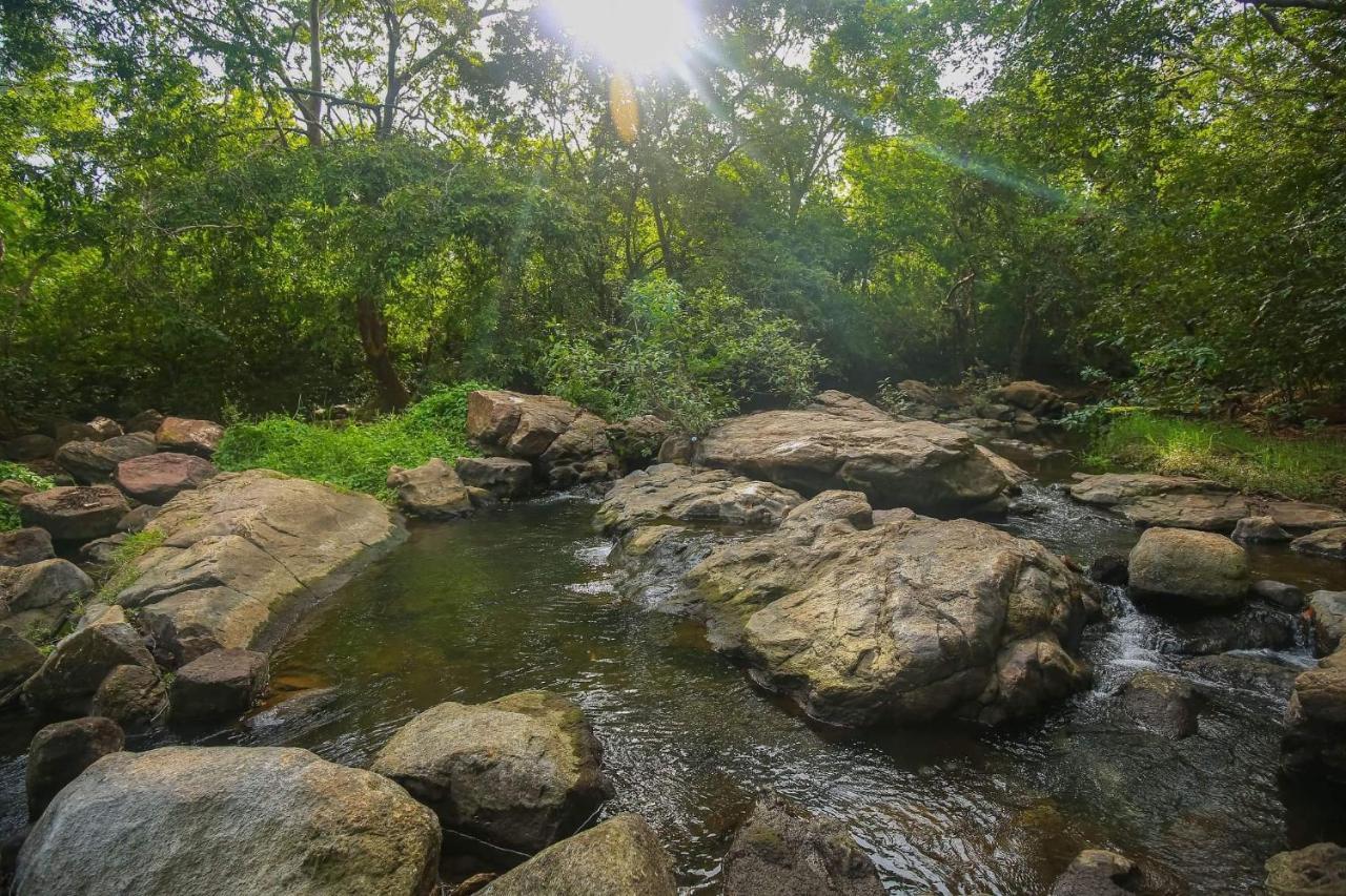 Yala Safari River View Hotel Tissamaharama Exteriér fotografie