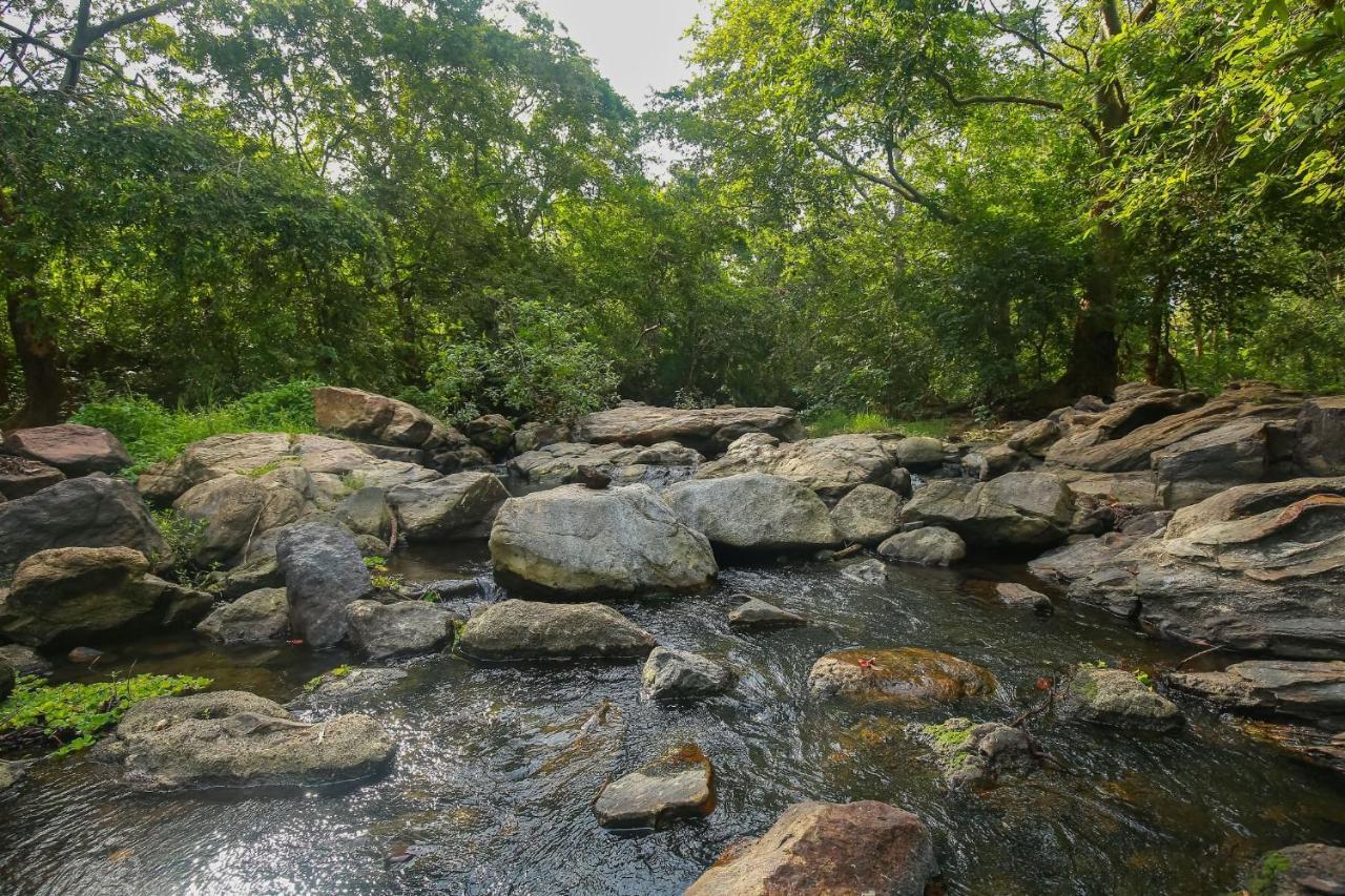 Yala Safari River View Hotel Tissamaharama Exteriér fotografie