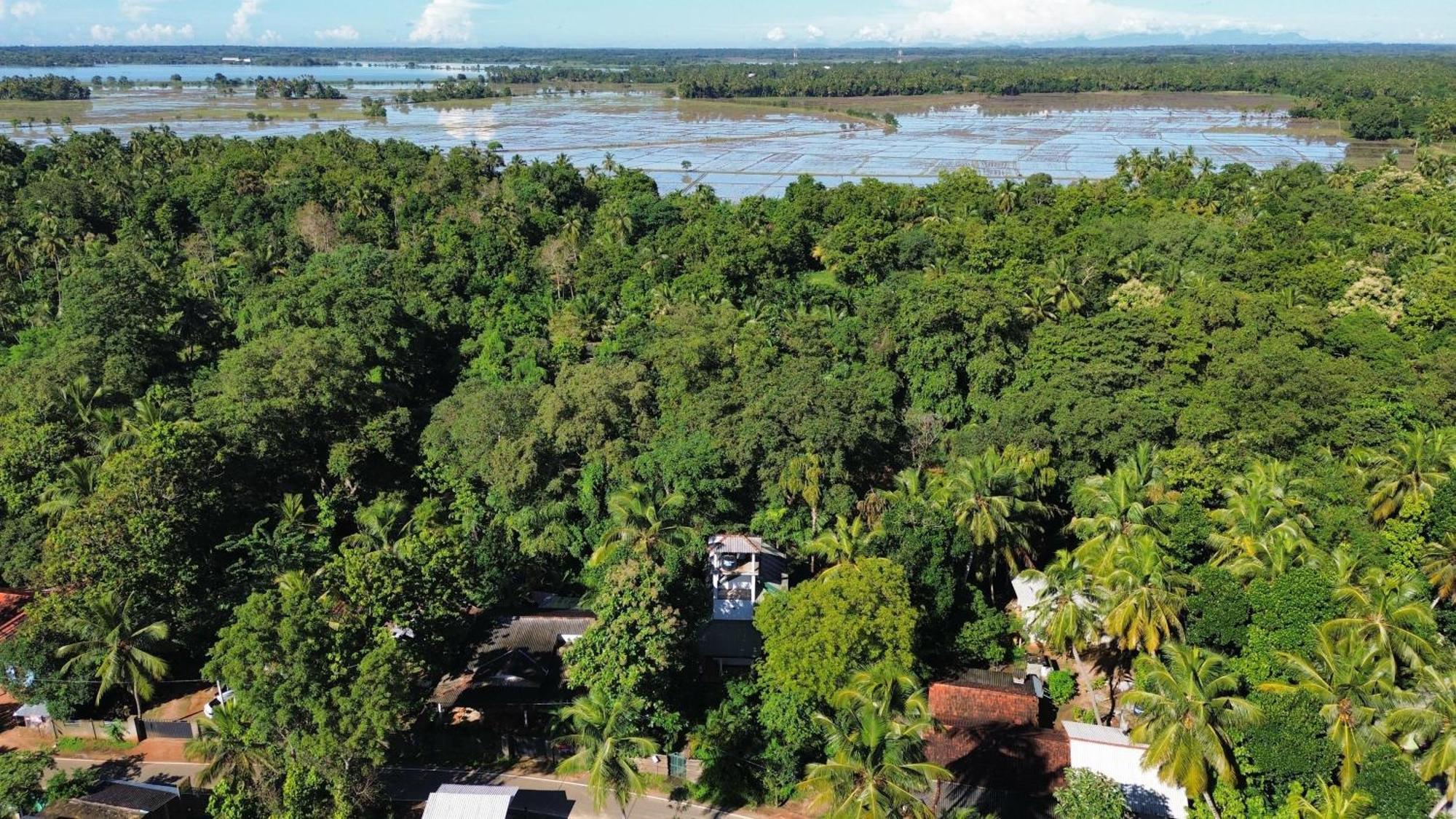 Yala Safari River View Hotel Tissamaharama Exteriér fotografie