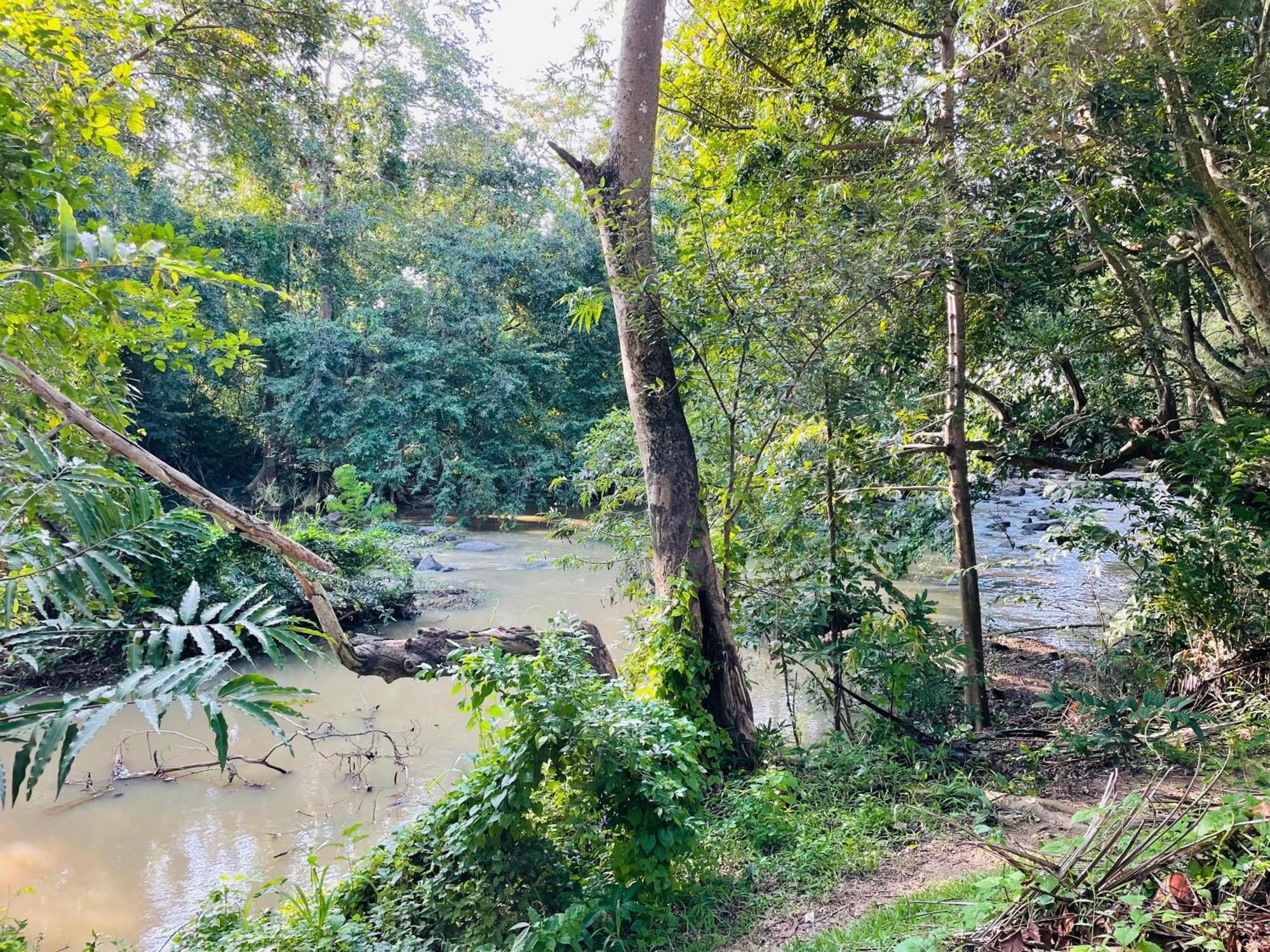 Yala Safari River View Hotel Tissamaharama Exteriér fotografie