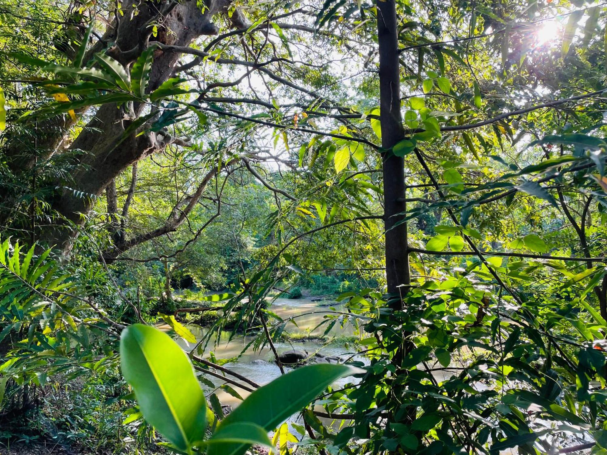 Yala Safari River View Hotel Tissamaharama Exteriér fotografie