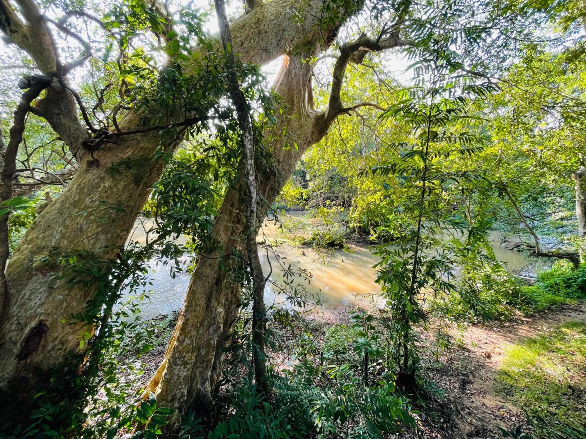 Yala Safari River View Hotel Tissamaharama Exteriér fotografie