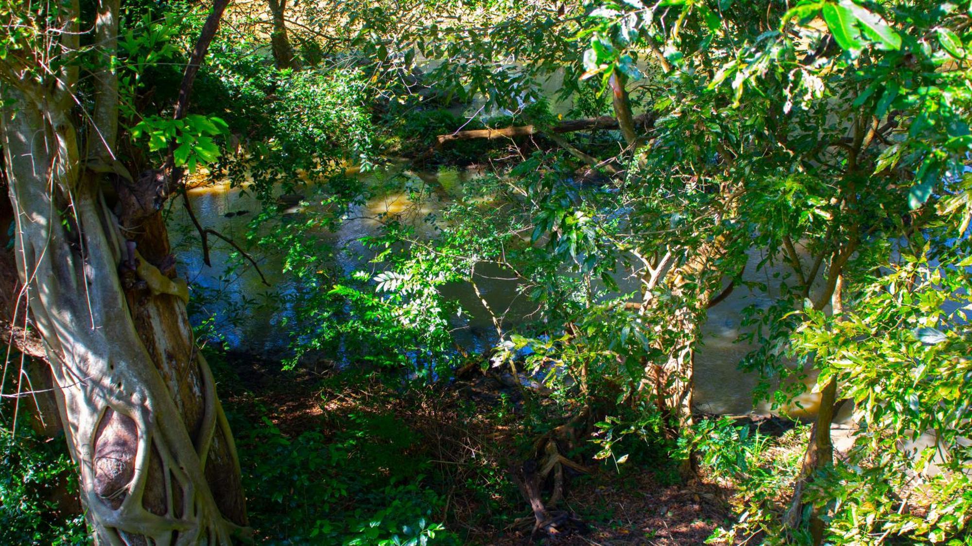 Yala Safari River View Hotel Tissamaharama Exteriér fotografie