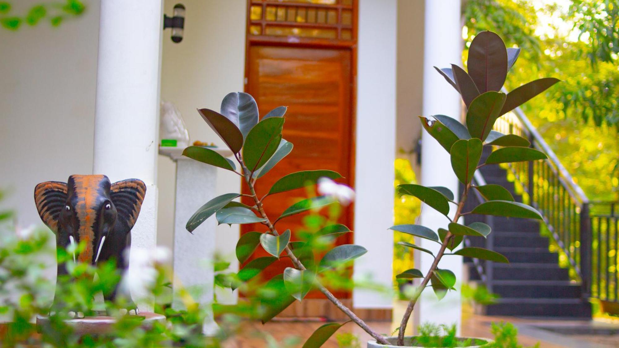 Yala Safari River View Hotel Tissamaharama Exteriér fotografie